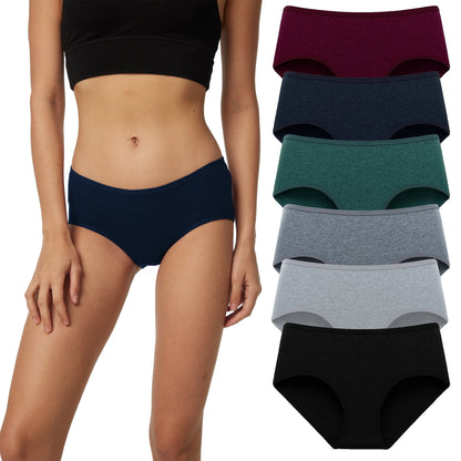 LinenMarket Women's Cotton Underwear Soft Hipster Stretch Breathable Panties for Women,6 Pack(L,Vintage)