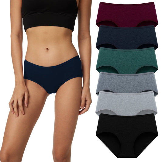 LinenMarket Women's Cotton Underwear Soft Hipster Stretch Breathable Panties for Women,6 Pack(L,Vintage)