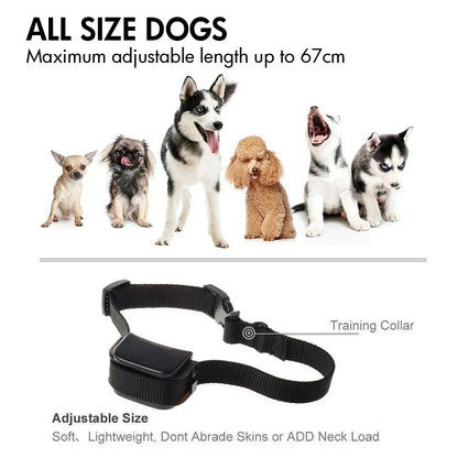 CATGOOD Dog Shock Collar for 2 Dogs, Waterproof and Adjustable Electric Dog Training Collar with Remote for Small Medium Large Dogs