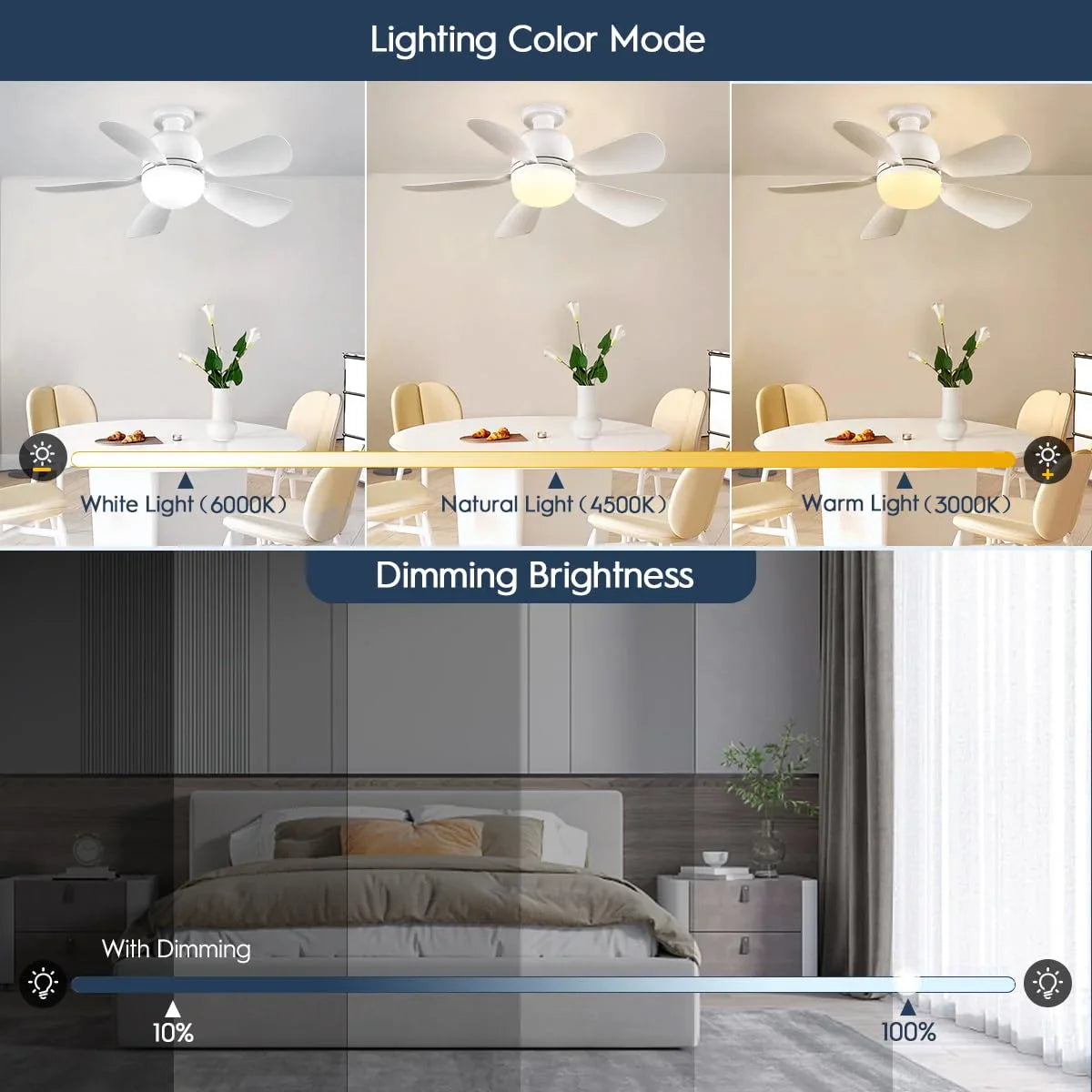 Socket Fan Light 19Inch, Dimmable Small Ceiling Fan with Light and Remote