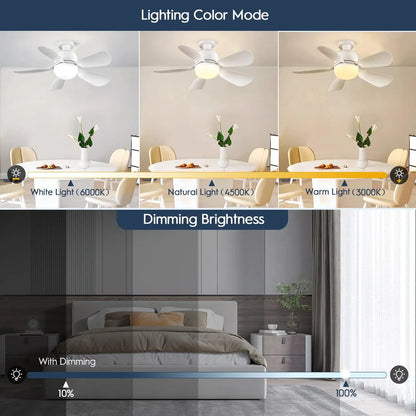 Socket Fan Light 19Inch, Dimmable Small Ceiling Fan with Light and Remote