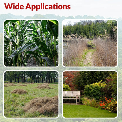 Electric Weed Eater Wacker, Grass Trimmer Weed Lawn Edger Eater, 21V 650W Cordless Grass String Trimmer Cutter, Weed Wacker with 2 Battery