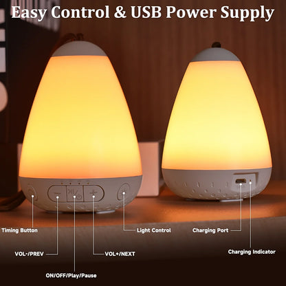 Fansbe White Noise Sound Machine Portable with 20 Soothing Sounds with Night Light