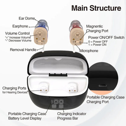 Delmicure Hearing Aids, 1631 Gold 1 Piece